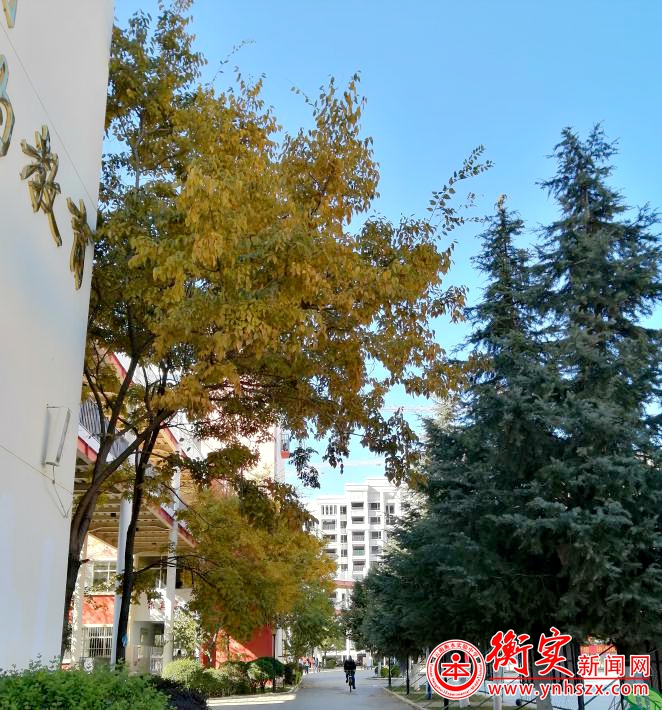 冬日里的“温暖符”|不期而遇的温暖和生生不息的希望 ——我校初