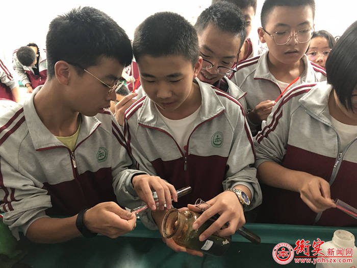 奇趣实验课∣制氧气！你成功了吗？
