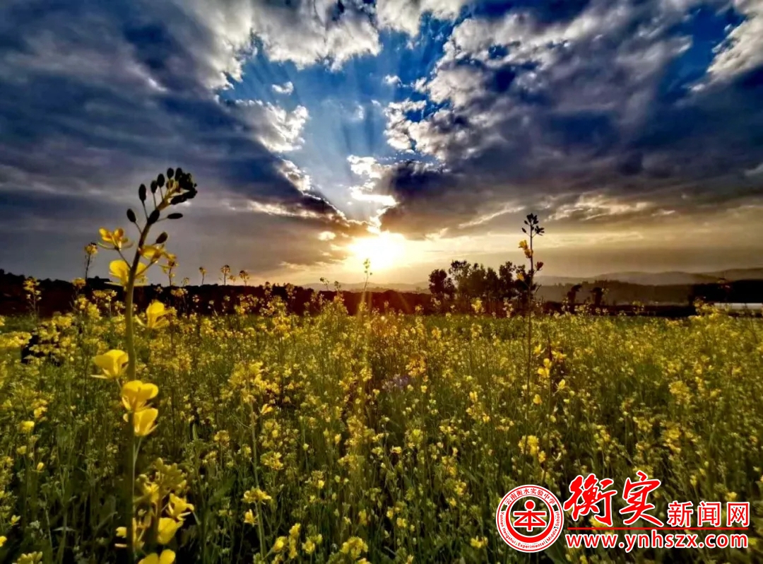 文化浸润校园|云南衡水实验中学宜良校区第三届“文化体育艺术节