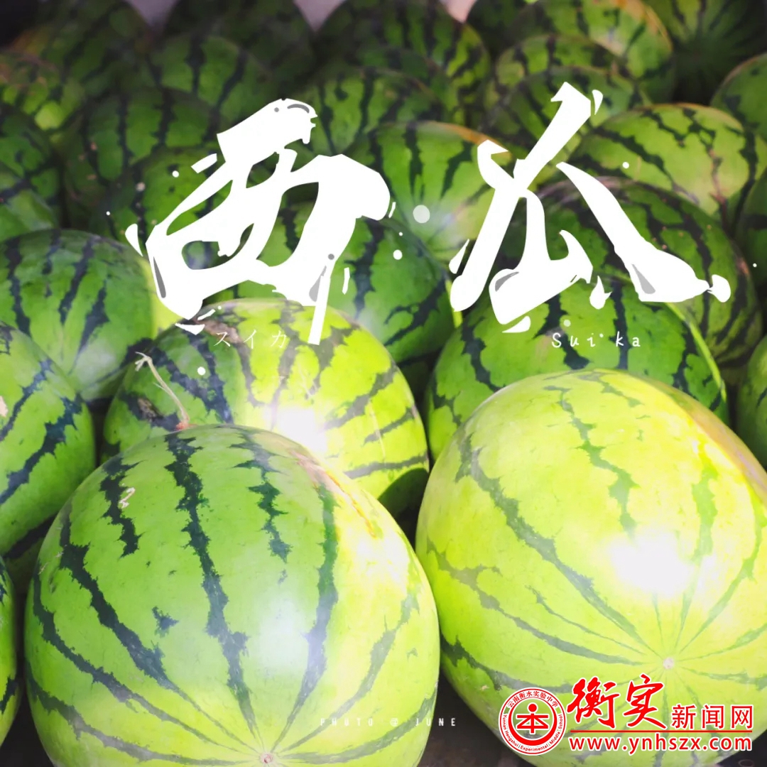 特辑 | 军训时吃的西瓜，可能是这辈子最甜的