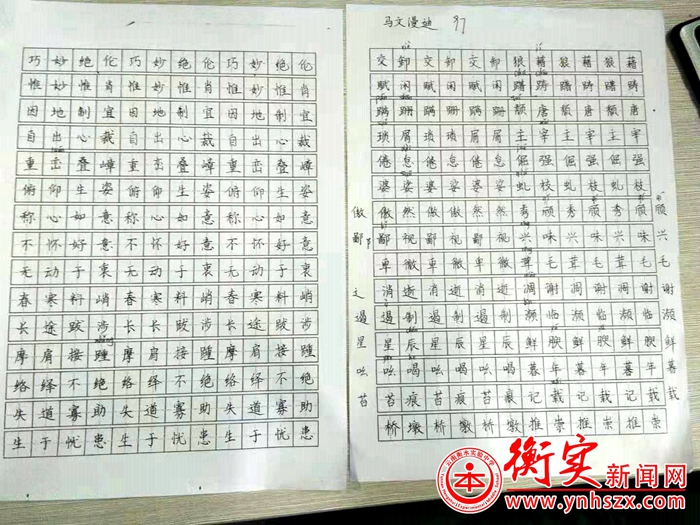 一点一滴都是爱，一笔一画总关情 ——记衡实日常之书写篇