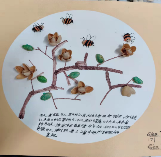 COP15我们在行动|衡实呈贡初二学子巧手匠心“果”然有料