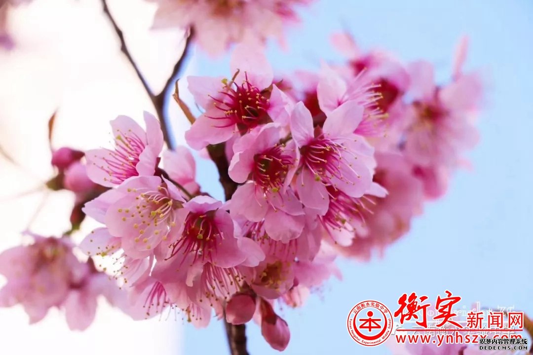 衡实游记——学子文言文